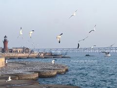 -星海广场