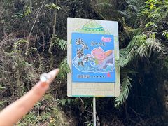 -南海湾森林生态园