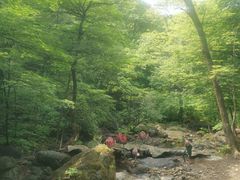 -香炉山国家森林公园