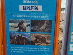 -海合安成都极地海洋公园