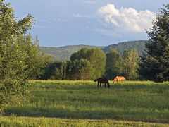 -北极村旅游风景区