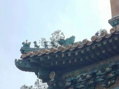 -颐和园