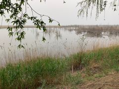 -野鸭湖国家湿地公园