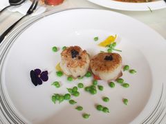 -皇朝会.经典传统粤菜(外滩店)