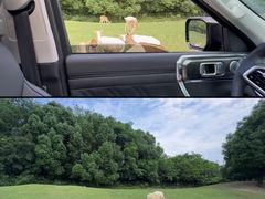 -常州淹城野生动物世界