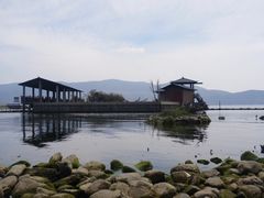 -才村湿地公园