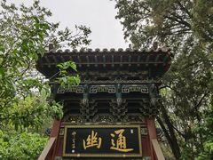 -晋祠公园