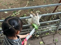 -厦门悦华酒店