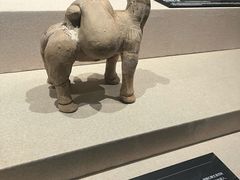 -岳阳市博物馆