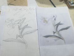 上课实景-谷隆画舍·国画书法素描彩铅水彩