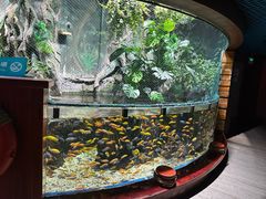 -太平洋海底世界