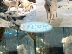 -珠海长隆海洋王国