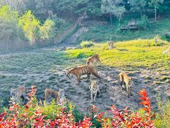 -沈阳森林动物园