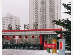 -望湖公园