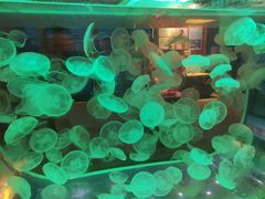 -多彩贵州城极地海洋世界