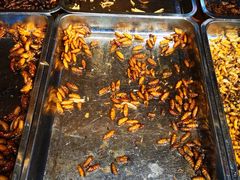 -昆虫窝子·特色云南菜(拓东路总店)