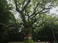 -热田神宫