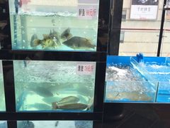 大堂-院8里·小乐园家常味川菜(鹭洲里店)
