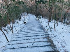 -紫金山山顶公园