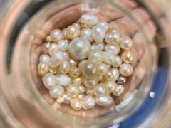 -十八字金·银饰·开蚌DIY·手工体验团建(世纪金源店)
