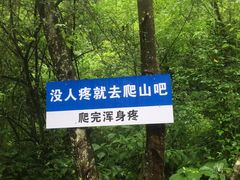 -鹿院坪生态旅游景区