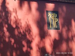 -皇藏峪国家森林公园