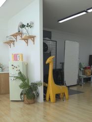 -可乐大王自然光儿童摄影(园区店)