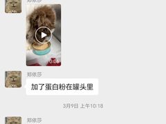 -奈斯宠物医院·核磁CT·异宠专科·内镜(中南店)
