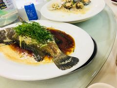 -海儀美食楼(湾仔海鲜街店)