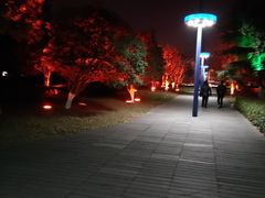 -中央公园(苏州工业园区)