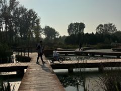 -东郊湿地公园