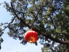 -八大处公园