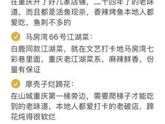 -龙湖重庆时代天街