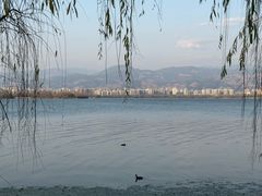 -西昌邛海宾馆