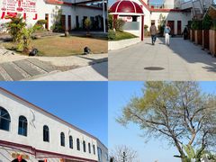 -巨鹏飞梦幻海岸