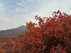 -周口店坡峰岭风景区