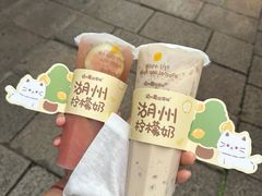 柠檬奶-猫的魔法密林(衣裳街店)