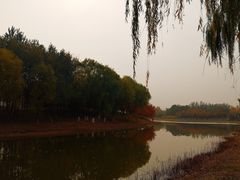 -大兴滨河森林公园