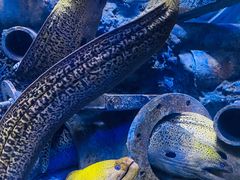 -成都浩海立方海洋公园