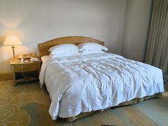 -南京维景国际大酒店(南京博物院店)