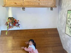 -金山农民画村-枫泾波兰倒置屋