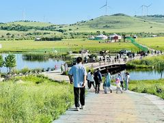 -御道口草原森林风景区