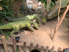 -北京呀路古热带植物园