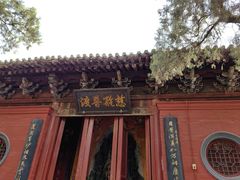 -洛阳白马寺