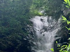 -长谷洞天