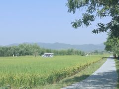 -良渚古城遗址公园