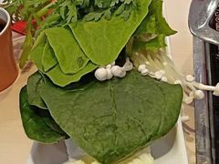 -刘一锅筋头巴脑(小北店)