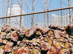 -静安区少年儿童图书馆(康定东路)