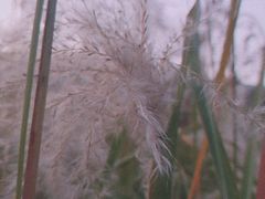 -祥源·阜阳生态乐园