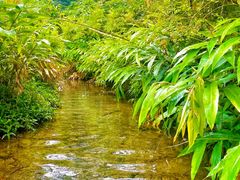 -洋湖国家湿地公园
